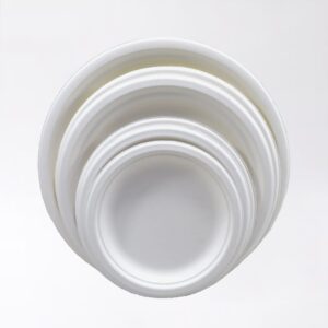 Boîte à couvercle articulé en bagasse de canne à sucre