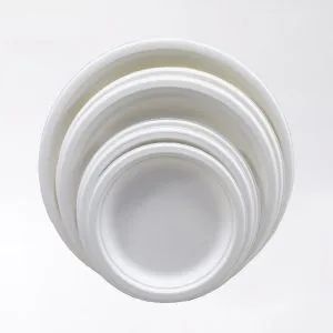 Scatola a conchiglia in bagassa