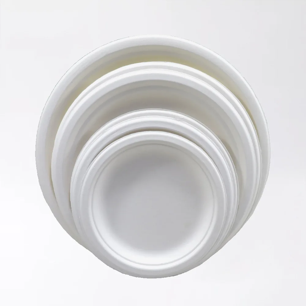 صندوق صدفي من قشور الباجاس