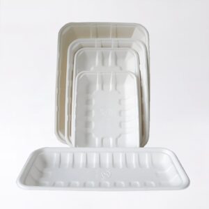 Boîte à couvercle articulé en bagasse de canne à sucre