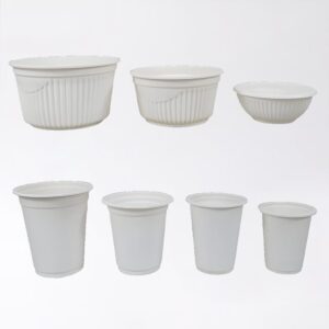 Boîte à couvercle articulé en bagasse de canne à sucre