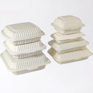 Boîte à couvercle articulé en bagasse de canne à sucre
