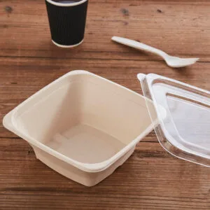 Disposable Sustainable Bowls Made From Sugarcane Bagasse