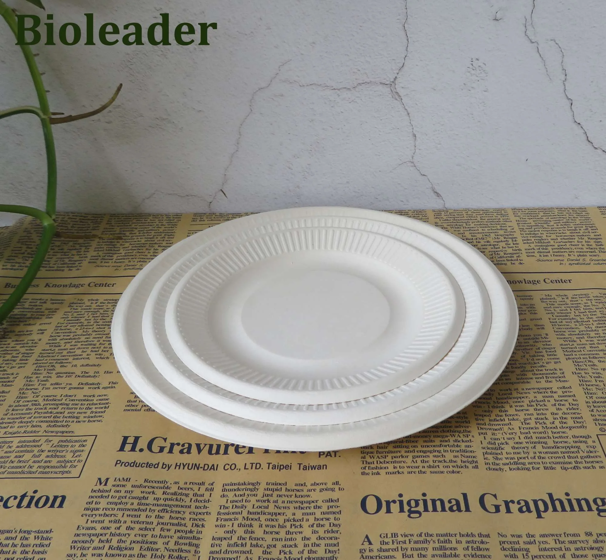 Disposable BBQ Paper Plates Bulk & Wholesale