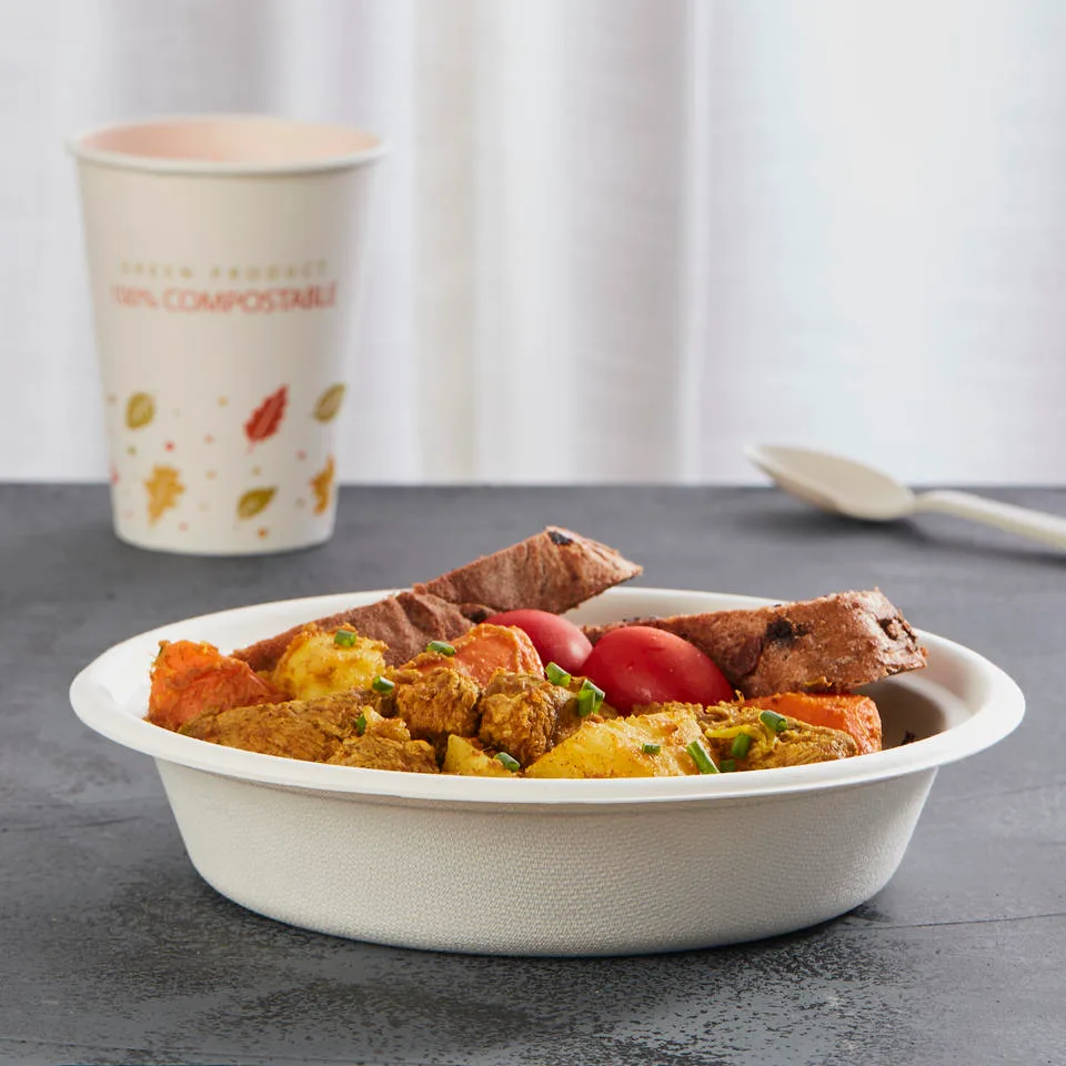 蓋付き生分解性バガスボウル