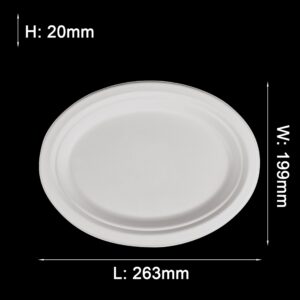 assiette ovale 10x8 pouces