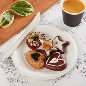 Assiettes en papier jetables pour barbecue en vrac et en gros