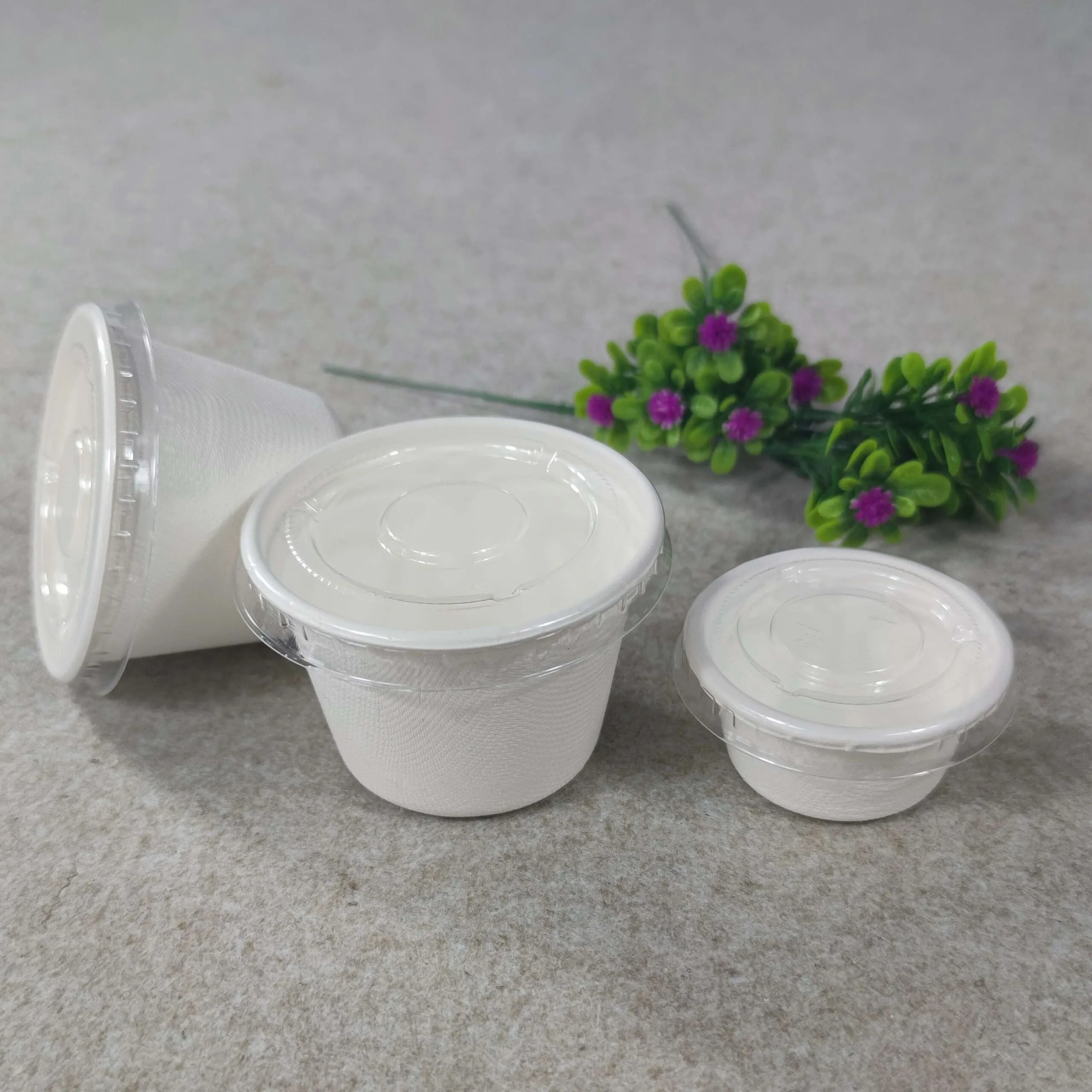 Zuckerrohrbecher mit Deckel