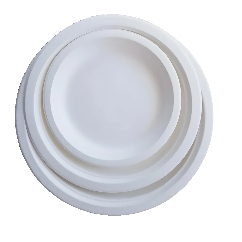 علبة غداء الطائرة القابلة للتحلل الحيوي القابلة للتحلل صندوق غداء الطائرة علبة وجبات الطيران صينية حلوى بغطاء