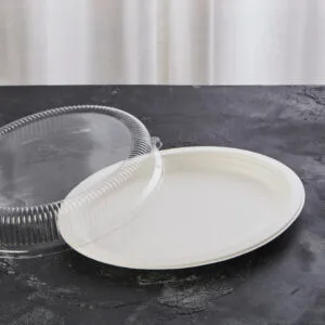 Assiettes ovales biodégradables compostables Factory Wholesale
