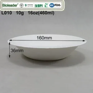 Assiettes et bols jetables écologiques Durables