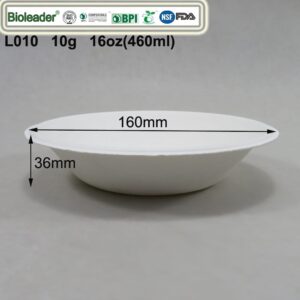 Eco Friendly Disposable Plates and Bowls Sustainable