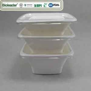 Récipients et bols à salade biodégradables avec couvercle 24 32 40oz