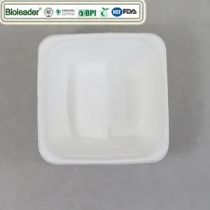 Saladiers compostables Carré en bagasse de canne à sucre
