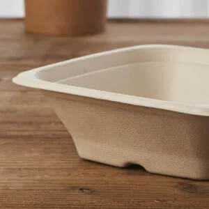 Saladiers et bols biodégradables Nature Brown