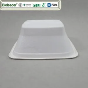Disposable Sustainable Bowls Made From Sugarcane Bagasse