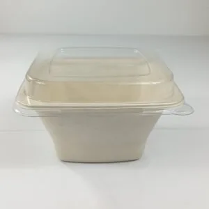 Biodegradable Salad Containers & Bowls