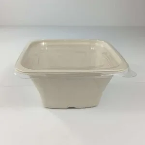 Biodegradable Salad Containers & Bowls