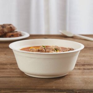 Bol écologique en bagasse