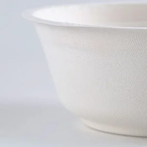 32oz kompostierbare Schalen mit Deckeln