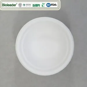 16 20 24 oz Bols en papier jetables fabriqués à partir de bagasse de canne à sucre