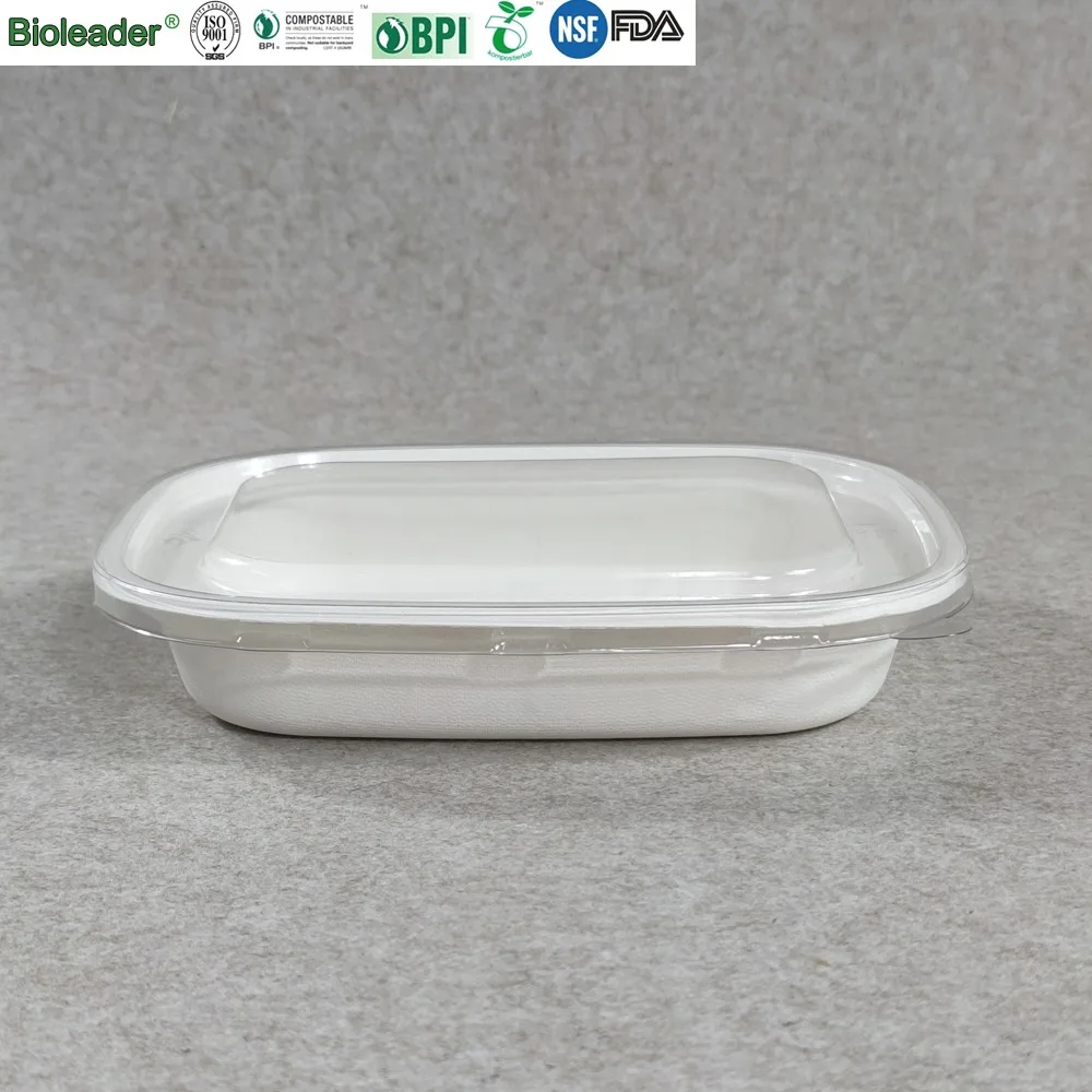 Sugarcane Bagasse Takeaway Salad Bowls