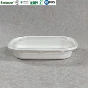 Sugarcane Bagasse Takeaway Salad Bowls Bulk Wholesale