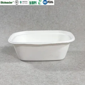 Bols jetables à emporter et récipients à salade