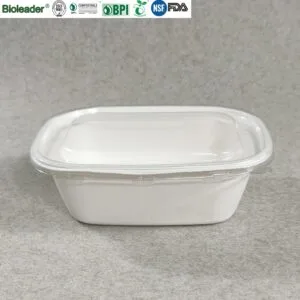 Bols jetables à emporter et récipients à salade