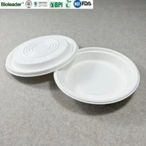 Eco Friendly Disposable Salad Bowls with Lids 24oz