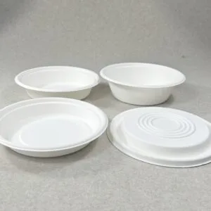 Biodegradable Salad Bowls with Lids