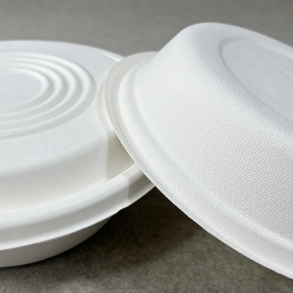 bol à pulpe de fibre de canne à sucre