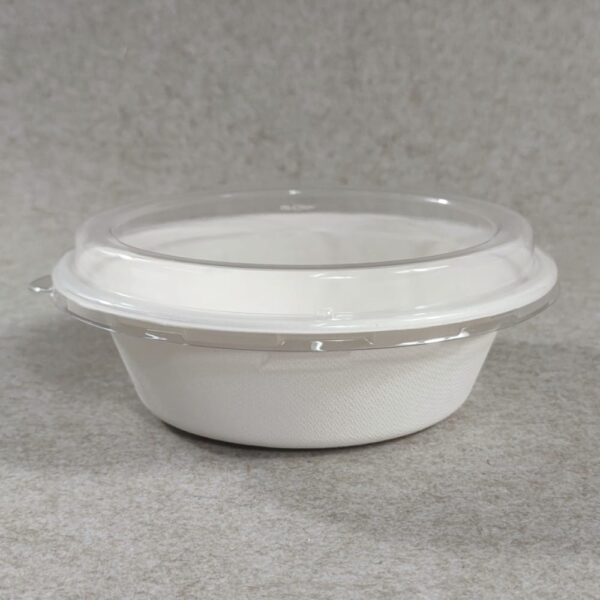 The Definitive HS Codes for Biodegradable Tableware (2025-2026 Exporter ...