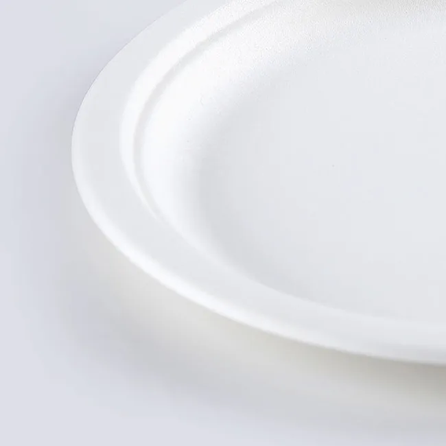 3 Compartment Disposable Plates Paper 9 Inch