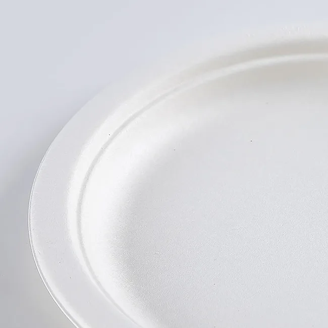 7 Inch Paper Plates Dinner Bulk Sugarcane Pulp Plate