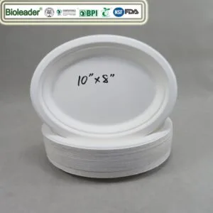 Assiettes ovales biodégradables compostables Factory Wholesale
