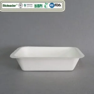 Bandeja Desechable de Bagazo para Comida Chip Bandeja Sushi