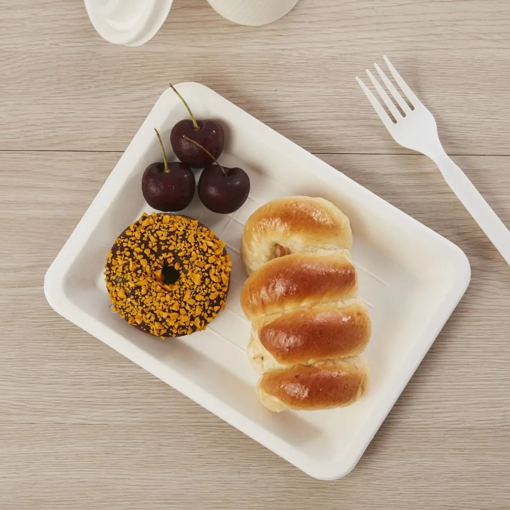 使い捨て生分解性堆肥化可能サービングトレイ大皿 使い捨て生分解性堆肥化可能サービングトレイ大皿