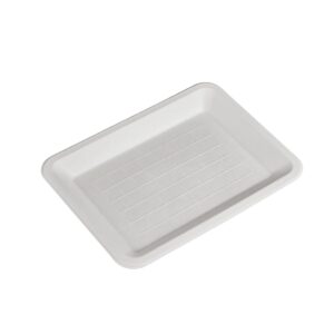 Wegwerp biologisch afbreekbare composteerbare serveertrays schalen