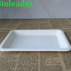 Bandejas de servir descartáveis biodegradáveis compostáveis Pratos de servir