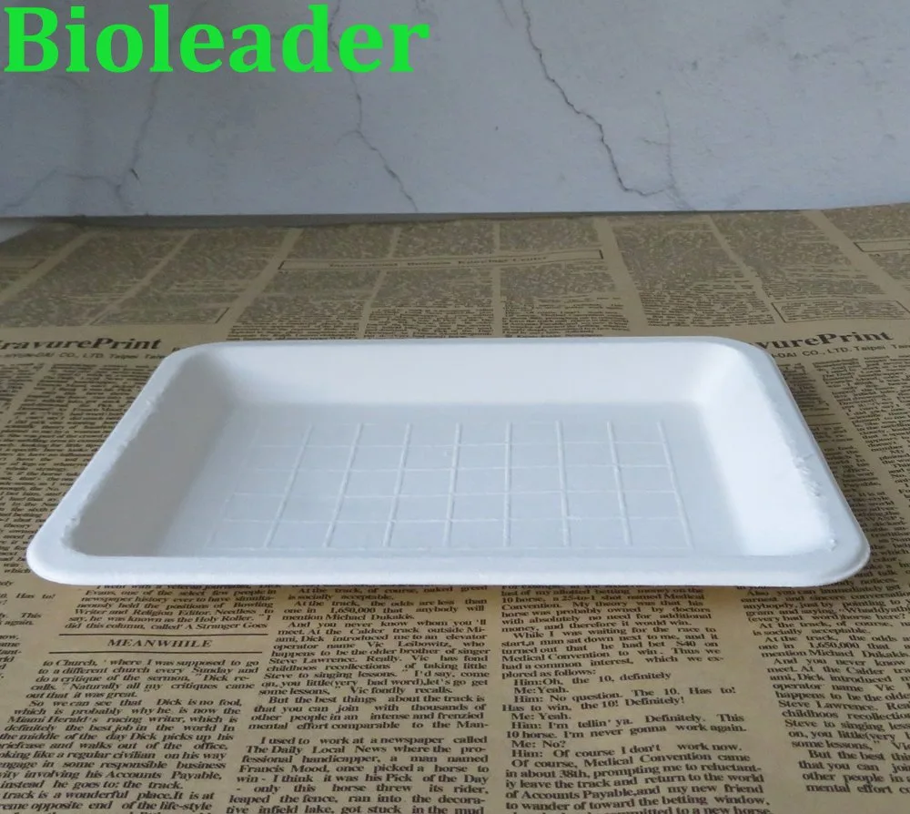 使い捨て生分解性堆肥化可能サービングトレイ大皿