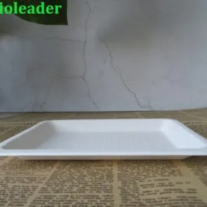Bandejas de servir descartáveis biodegradáveis compostáveis Pratos de servir