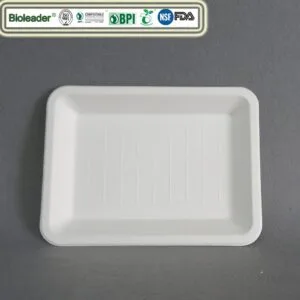 Bandejas de servir descartáveis biodegradáveis compostáveis Pratos de servir