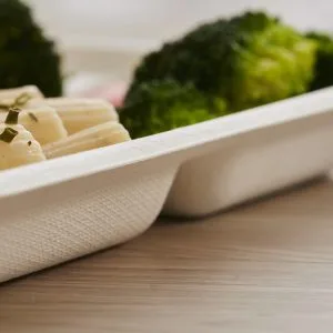 Pratos descartáveis com 5 compartimentos Tabuleiro de almoço de papel com tampa