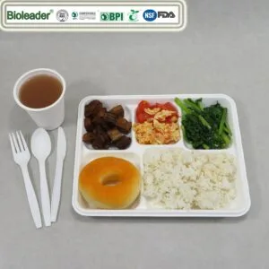 Pratos descartáveis com 5 compartimentos Tabuleiro de almoço de papel com tampa