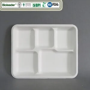 Platos desechables de 5 compartimentos Bandeja de papel para almuerzo con tapa