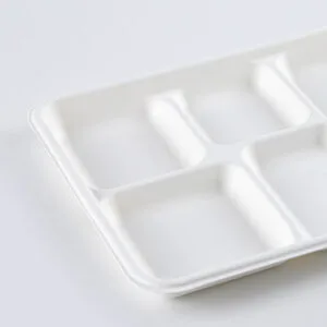 Pratos descartáveis com 5 compartimentos Tabuleiro de almoço de papel com tampa