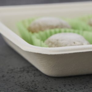 Wegwerp biologisch afbreekbare composteerbare serveertrays schalen