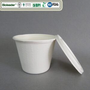 Biologisch afbreekbare soepkommen met deksels van suikerrietbagasse