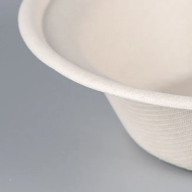 bol en bagasse de canne à sucre nature